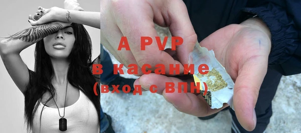 шишки Михайлов