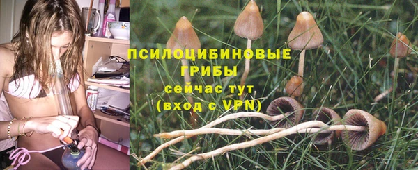молекула духа Дмитров