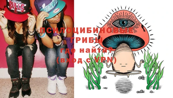 молекула духа Дмитров