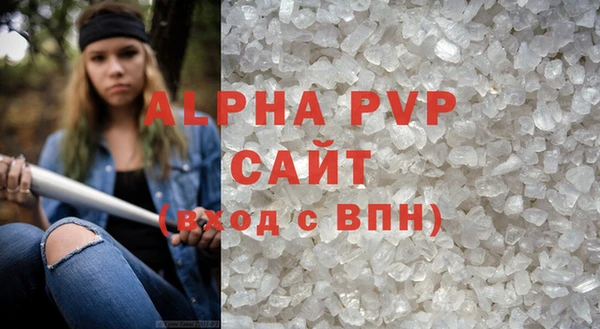 индика Гусиноозёрск