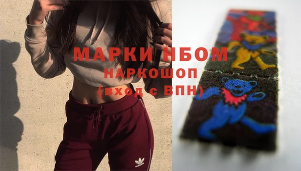 молекула духа Дмитров