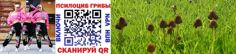 наркошоп  Енисейск  Псилоцибиновые грибы Cubensis 